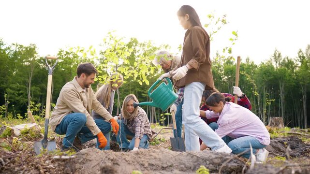 Eco volunteers watering newly planted trees together. Diverse people caring for saplings and supporting eco growth. Community members helping forest restoration. Sustainable environment project.