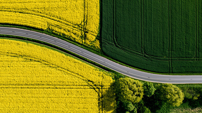 Aerial view of winding road through colorful green and yellow farmland fields