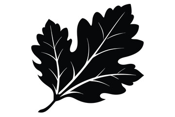 Fototapeta premium oak leaf silhouette line art vector illustration