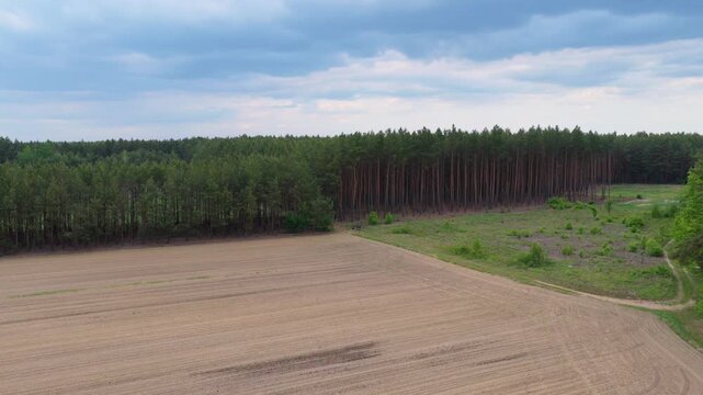 Aerial view of agricultural field with pine forest clearcut and mixed 