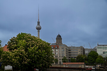 Berlin, Germany, May 2, 2026. Cityscape view over the river with the Berlin Television Tower rising into a foggy overcast sky behind a large green blooming tree. © elenarostunova