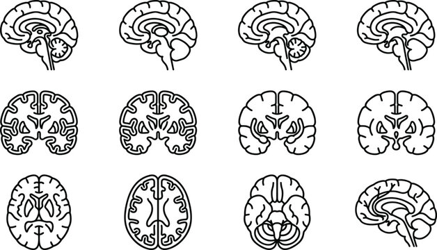 Set of human brain anatomy icons in outline style.