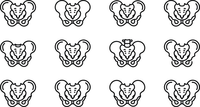 Set of human pelvic bone medical line icons.