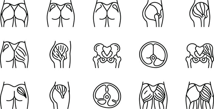 Set of human gluteal muscle anatomy icons in line style.