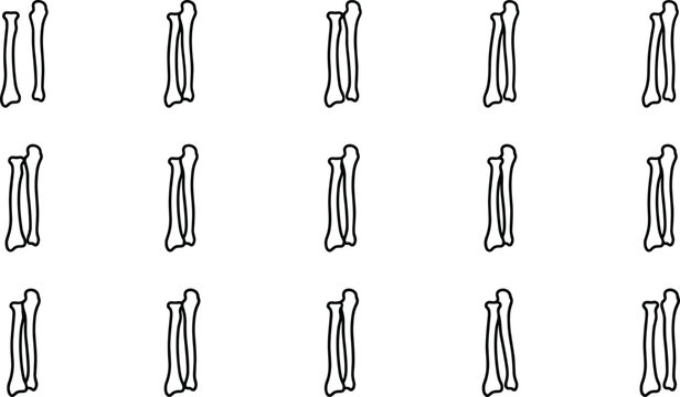 Set of human forearm bone sketches showing radius and ulna anatomy.