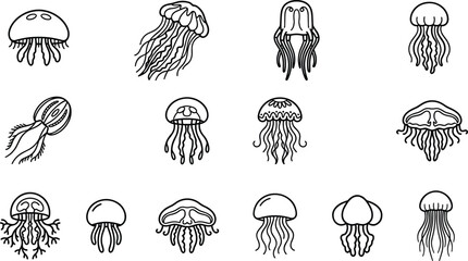 Collection of hand drawn jellyfish icons and marine creatures illustrations. © jenci