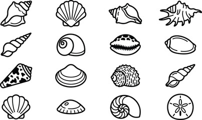 Collection of various sea shell icons in black and white line art style. © jenci