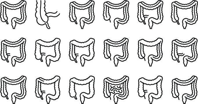 Set of human large intestine anatomy line art icons.