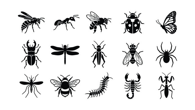 Set of black insect icons featuring various bugs and spiders in a minimalist silhouette style.