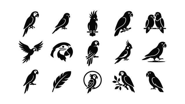 Set of parrot icons and silhouette illustrations.