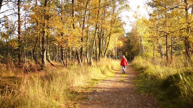 Beautiful little girl goes on footpath
