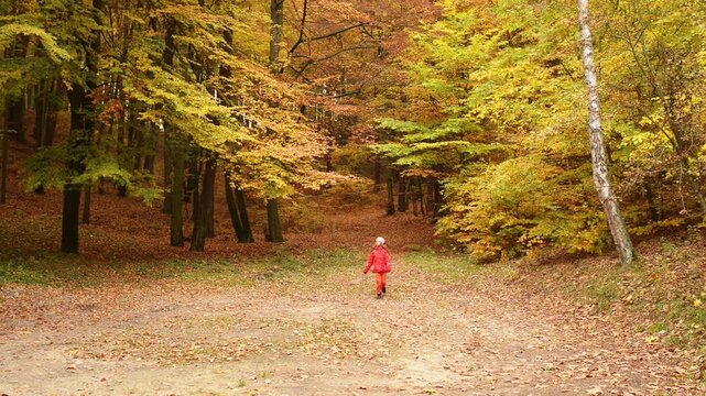 Little beautiful girl on the autumn city park