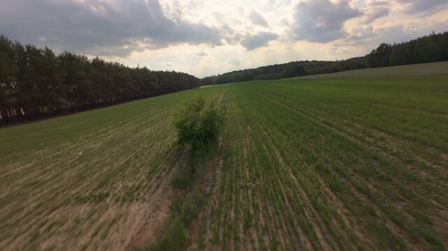 Aerial drone footage of agricultural fields with green crops and fores
