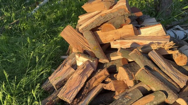 Split wooden logs stacked on green grass for campfire, barbecue grilling and stove heating with natural rustic outdoor preparation scene.