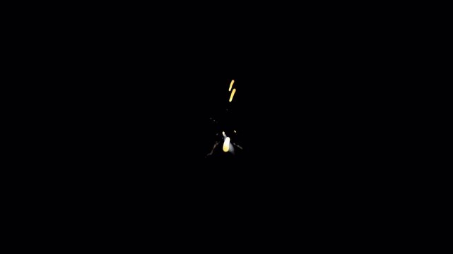 Fast Moving Meteor Trail on Black Background with Fiery Light Streaks, Burning Space Debris Effect and Cinematic VFX Animation Loop