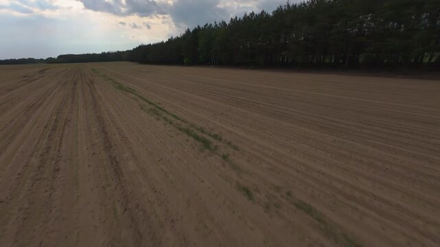 Aerial View of Agricultural Field with Forest Edge and Crop Rows