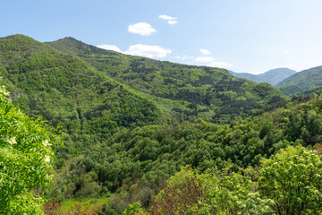Fototapeta premium Rhodope Mountains near town of Asenovgrad, Bulgaria