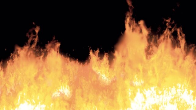 Intense bright orange fire flames burning on black background.