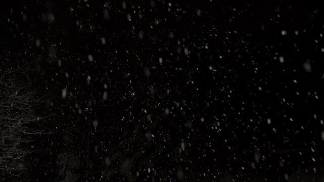 Witness the beauty of a snowstorm as delicate snowflakes dance through the dark sky, creating a magical and serene atmosphere full of winter wonder