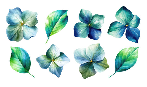 Elegant watercolor floral collection featuring blue hydrangea blossoms and vibrant green leaves, with soft botanical textures and decorative elements isolated on white.
