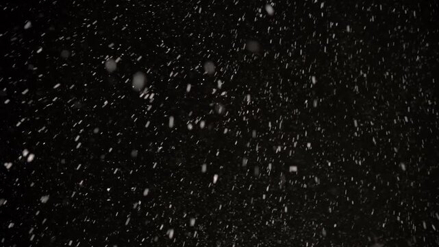 Snowflakes swirl and tumble through the dark atmosphere, creating a mesmerizing display of winter's power and serenity in a true snowstorm spectacle