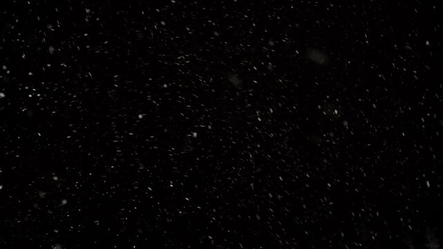 Fluffy snowflakes swirl and tumble in a powerful snowstorm, creating a mesmerizing display on a dark canvas, embracing the magic of winter's embrace