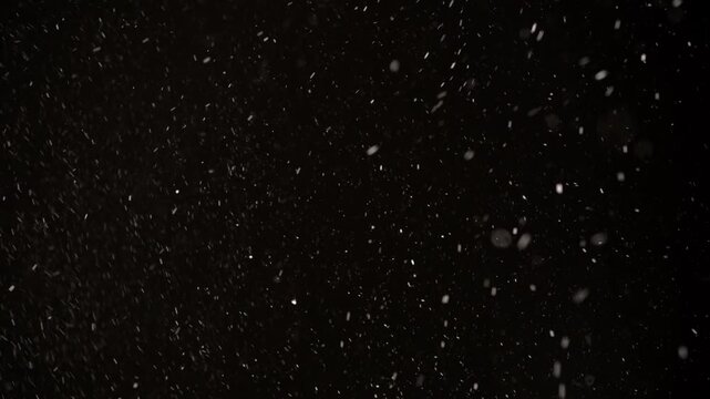Snowflakes swirl gracefully in the night air, painting a mesmerizing picture against the deep black sky as a snowstorm unfolds with gentle fury