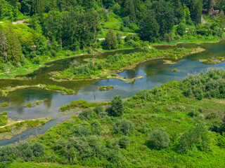 Obraz premium Aerial View of River Wetlands and Lush Forest Near Mission BC Canada With Meandering Marsh Channels
