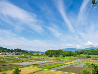 心ほどける、明日香村ののどかな夏空 © かめです