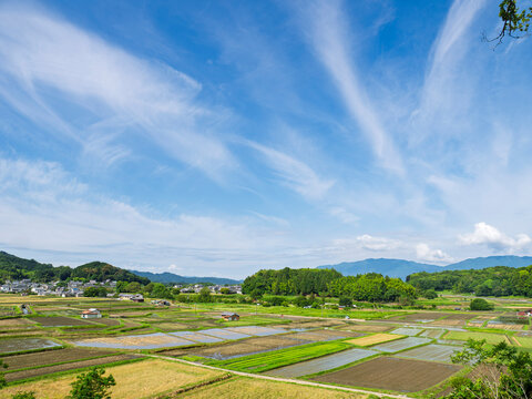 心ほどける、明日香村ののどかな夏空