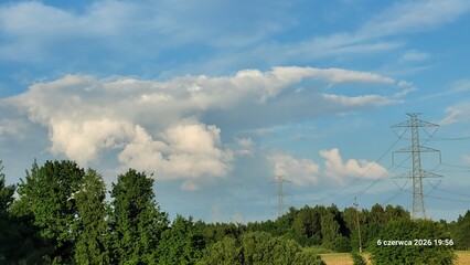 clouds over forest