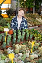 Indoor and outdoor design using plants, growing flowers as hobby, vegetation in interior solutions. Girl works as auxiliary worker in plant store warehouse, review cactus seedling © JackF