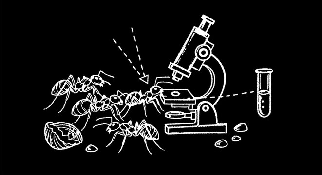 Cartoon Ants Examining Science Laboratory Equipment Together.