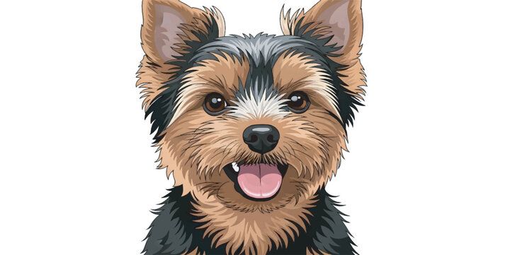 Cute Yorkie Dog Smiling Face Closeup.