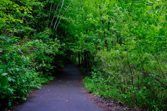 un sentier dans un parc bois&eacute;, Qu&eacute;bec, Canada