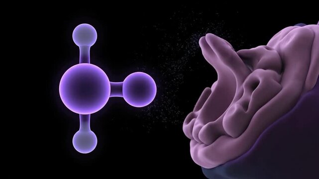 3D Animation: Acetylcholine Molecule Docking at Neuromuscular Junction Receptor