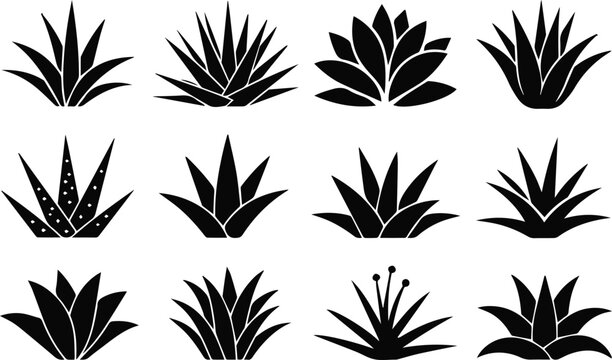 agave logo elements pack varied leaf shapes ornamental vector icons