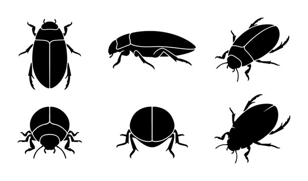 Insect Silhouettes Set, Six Beetle Icons, Entomology Vector Graphics, Nature Bug Collection