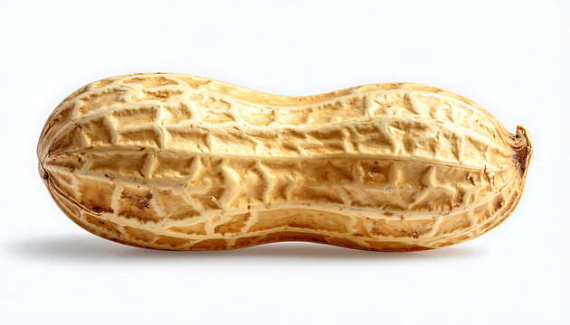 Isolated peanut in shell, natural texture and color, studio shot with subtle shadow