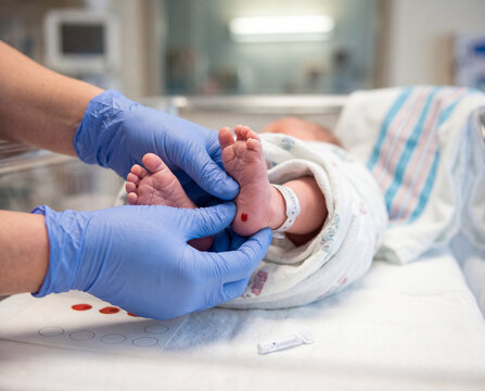 Nurse Conducting Newborn Heel Prick Test with Blood Spot Card