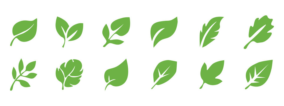 Set of twelve various green leaf icons ecology environment nature vector illustrations collection