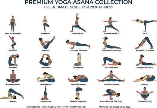 Premium Yoga Asana Collection 2026 with Tadasana Virabhadrasana Dhanurasana Cobra Bridge Headstand Crow and Firefly Named Poses