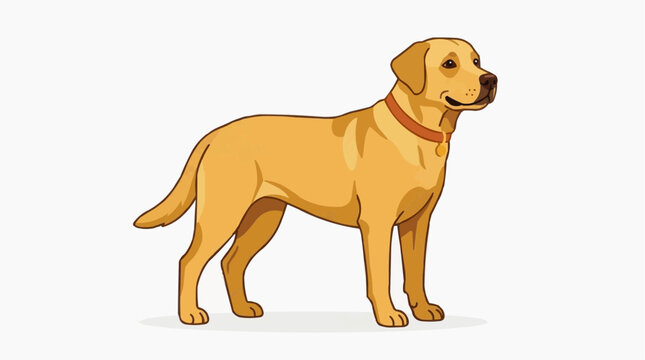 Pet Set - Golden Labrador Retriever Dog Standing with Red Collar and Smooth Coat