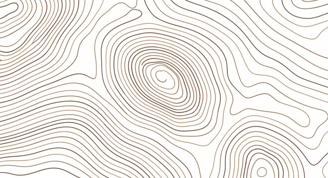 Topographic Contour Map Abstract Design