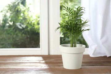 Fototapeta premium Potted houseplants on wooden window sill indoors, space for text