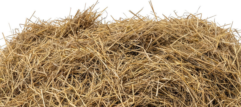 A close up texture of dry golden hay showing the detailed arrangement of straw stalks in a pile casting subtle shadows and highlights across its surface field agriculture