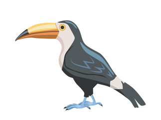 Obraz premium Colorful toucan shown in stylized graphic style on a clean white background, expressing nature wildlife concept and tropical theme. Vector illustration