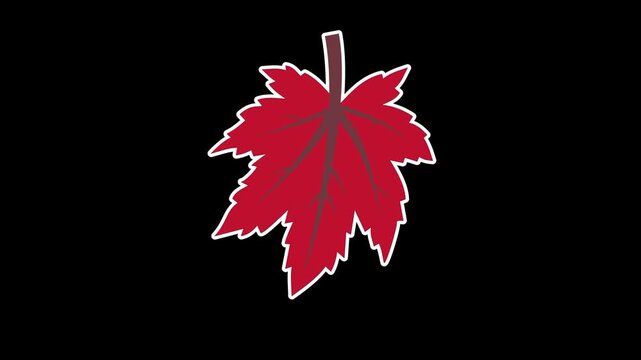 Seamless looping animation of a bouncing red maple leaf for autumn and fall seasonal concepts. Flat style sticker design element isolated on transparent alpha channel background