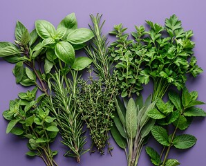 Obraz premium Variety of fresh green culinary herbs flat lay on a purple background