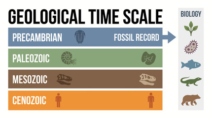 Fossil Record Geological Time Scale Biology © Bima